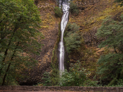 Oneonta Trail, Columbia Gorge, Oregon, U.S.A. 2014 09 (Sep) 26