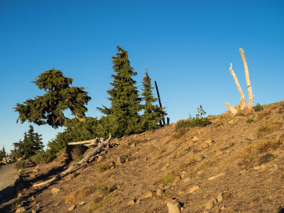 What an adventure! Lots of off-trail hiking on Mt. Hood, Oregon, U.S.A. 2014 10 (Oct) 03