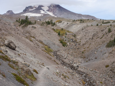 White River Ridge, Mt. Hood, Oregon, U.S.A. 2014 10 (Oct) 10
