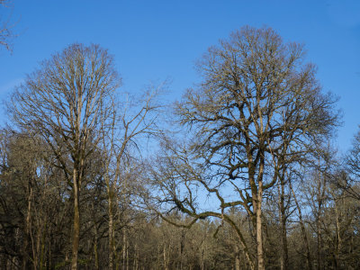g9/98/1151998/3/158447860.z9SUCSGu.jpg