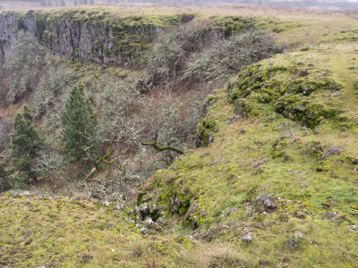 P1130015.jpg