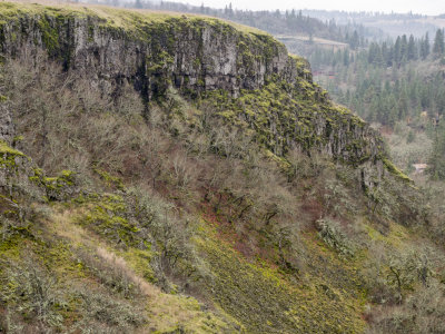 P1130128.jpg *