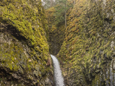 Herman Creek Trailhead to Dry Creek Falls, Columbia Gorge, Oregon, U.S.A. 2015 01 (Jan) 26