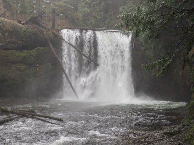 Silver Falls State Park, Trail of Ten Falls, Oregon, U.S.A. 2015 02 (Feb) 11