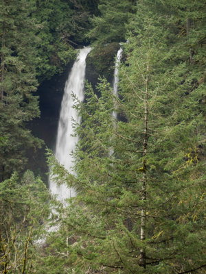 Silver Falls State Park, Trail of Ten Falls, Oregon, U.S.A. 2015 02 (Feb) 11
