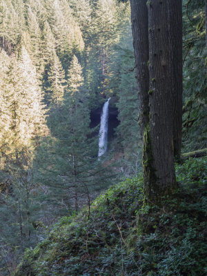 Silver Falls 2015 02 (Feb) 17