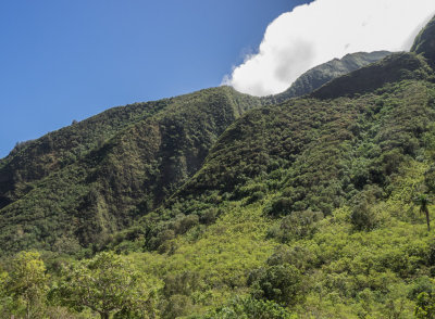 ‘Iao Valley Hike on Maui, Hawaii 2015 03 (Mar) 02