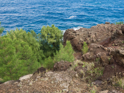 Maui West Coast Drive, Hawaii, U.S.A. 2015 03 (Mar) 05