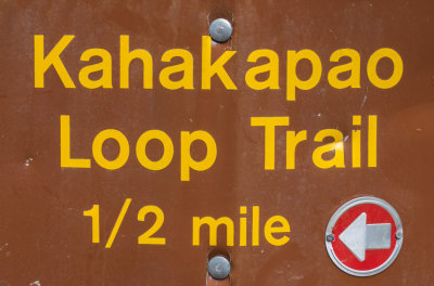 Maui Kahakapao Loop Trail, Hawaii, U.S.A. 2015 03 (Mar) 07