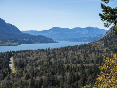 Dog Mountain, Columbia Gorge, Washington, U.S.A. 2015 04 (Apr) 16