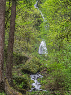 Wahkeena Falls / Multnomah Falls Loop, Columbia Gorge, Oregon U.S.A. 2015 04 (Apr) 21