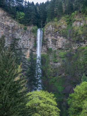 Franklin Ridge Loop from Multnomah Falls, Columbia Gorge, Oregon, U.S.A. 2015 04 (Apr) 27