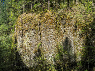 Franklin Ridge Loop from Multnomah Falls, Columbia Gorge, Oregon, U.S.A. 2015 04 (Apr) 27