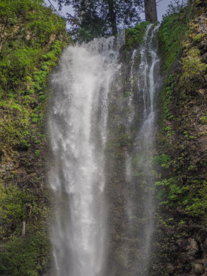 Franklin Ridge from Oneonta Trail, Columbia Gorge, Oregon, U.S.A. 2015 05 (May) 01