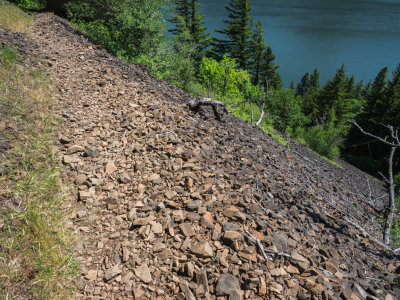 Dog Mountain Blanketed in Balsamroot Sunflowers, Columbia Gorge, Washington, U.S.A. 2015 05 (May) 08