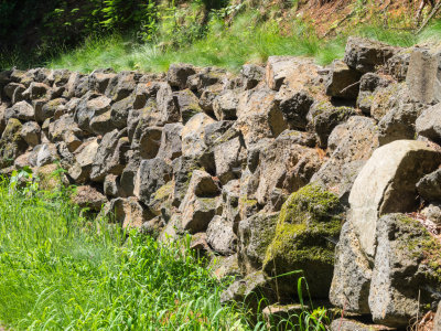 Hamilton Mountain Climb from Hardy Ridge Horse Trail, Columbia Gorge, Washington, U.S.A. 2015 05 (May) 27