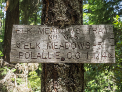 Mt. Hood, Tamanawas Falls Loop, Oregon 2015 07 (Jul) 21 my 73rd Birthday