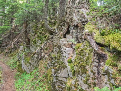 Pacific Crest Trail with sister Marjorie, from U.S. Highway 35, Oregon, U.S.A., 2015 08 (Aug) 11 