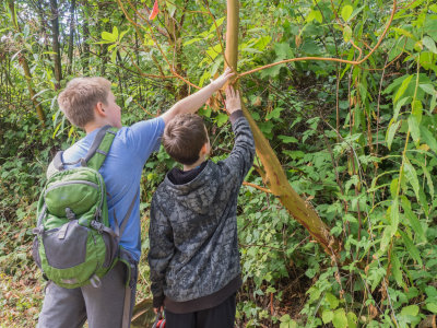 Hoyt Arboretum in Portland, Oregon, U.S.A. with Quinn and Knoll (grandchildren) 2015 09 (Sep) 03