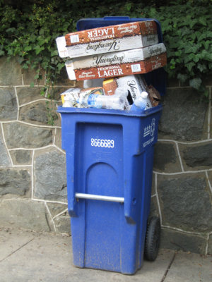 Poor recycling bin