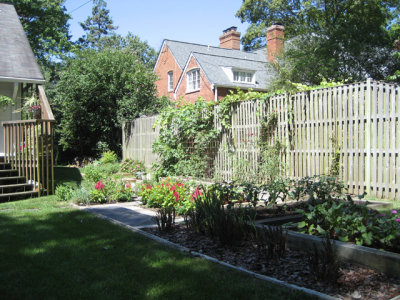 The Garden