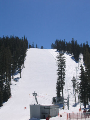IMG_0157.jpg