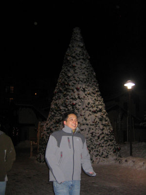 Edita Tree