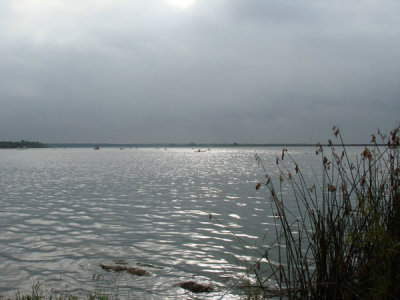 Open Water