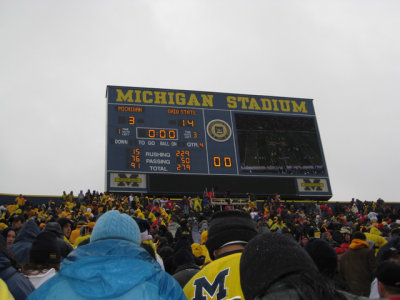 Final Score - Michigan 3 - OSU 14
