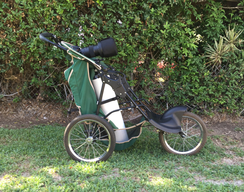 Modified Jogging Stroller