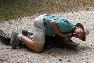 Aligator Wrestling (1643)