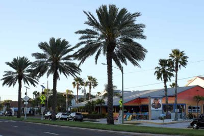 The Conch Republic Grill and Raw Bar