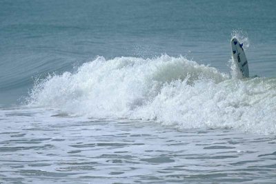 Venice Beach Surfers (556)