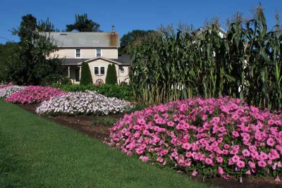 A Beautiful Amish Garden and Farm