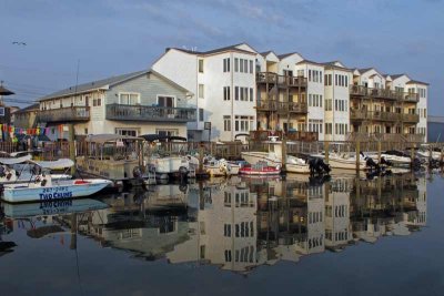 Sea Isle City's Commercial Fishing Docks (133)