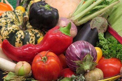 The beautiful harvest display in one of the competition buildings. 