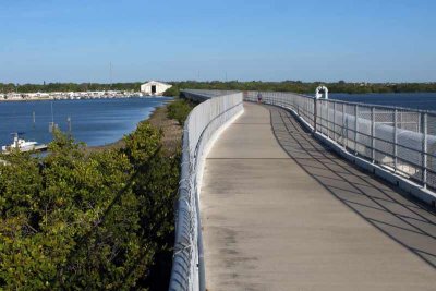 Along the Pinellas Trail (197)