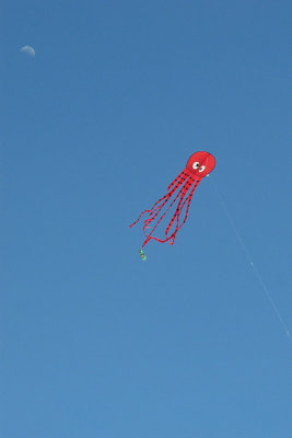 Crescent Moon & Jelly Fish Kite