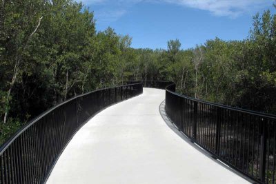 This is the windy path that actually went above the mangrove forest. Just breathtaking.