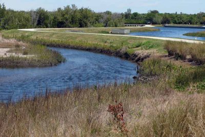 I'm looking back towards where I rode into Clam Bayou from in this photo.