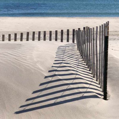 Autumn Dune Fencing Shadows