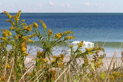 Autumn Dunes and Surf