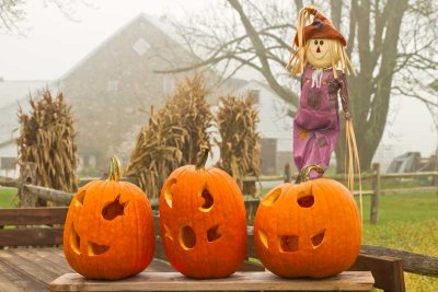 Little Scarecrow & Pumpkins