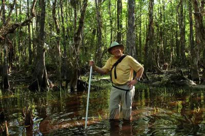 Swamp Walk Photo Workshop