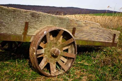 Amish Wagon at Rest