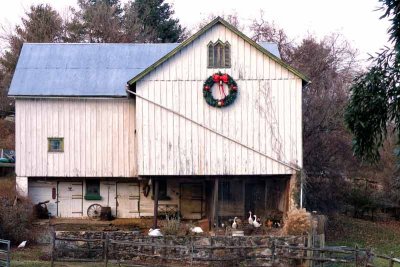 A Christmas Goose Barn