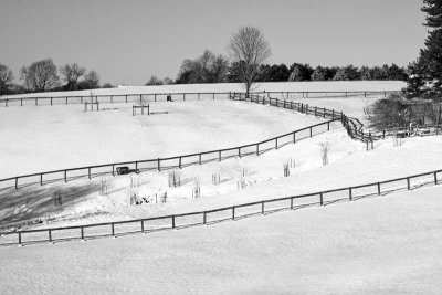 Snow-Covered Pastures