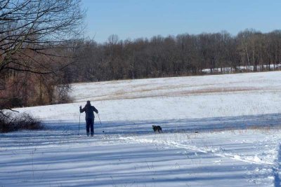 A cross country skier with her dog.