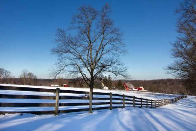 Lone Tree, Great Barn & Snow