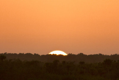 Everglades Sunset February 3, 2014 (110)